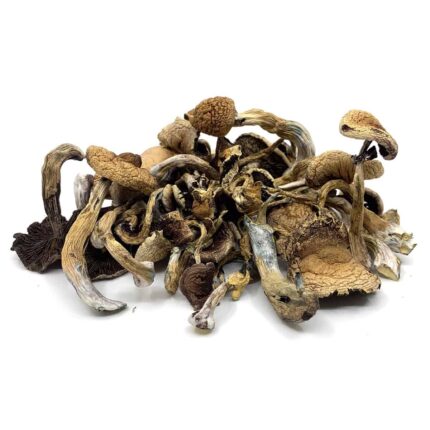 Buy Golden Teacher Online Oregon